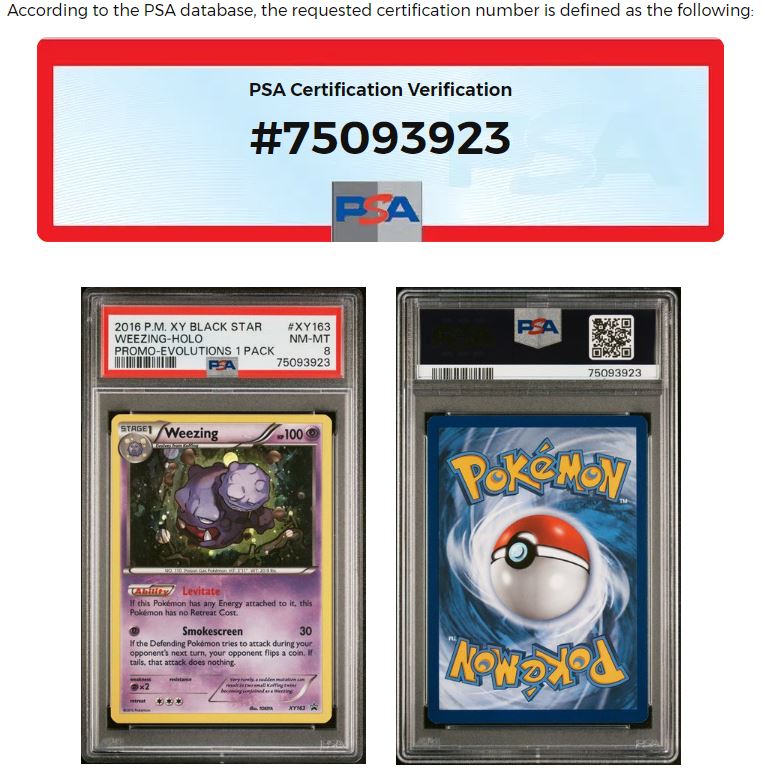 2016 POKEMON XY BLACK STAR PROMO XY163 WEEZING-HOLO EVOLUTIONS SINGLE PACK BLISTERS