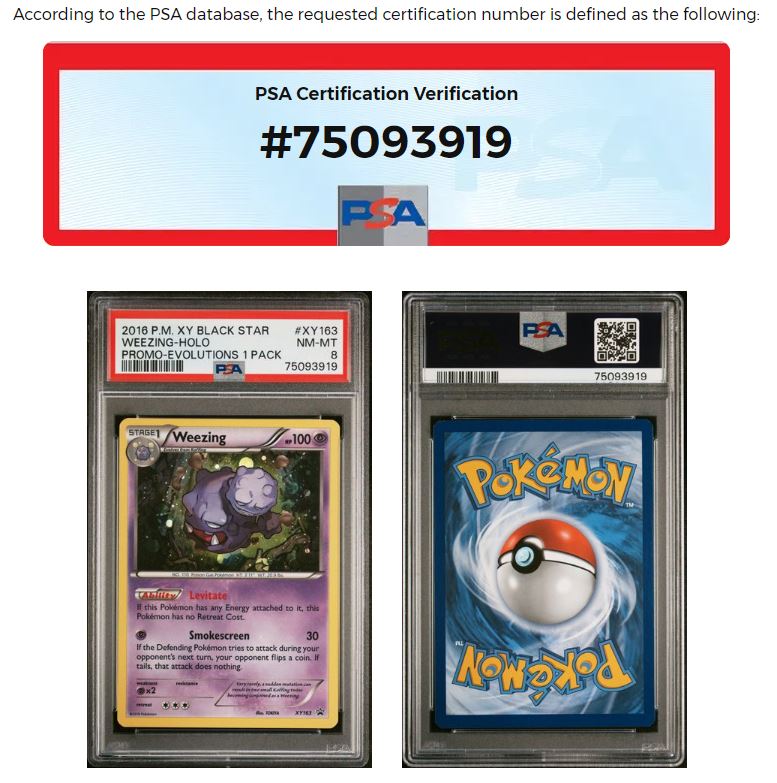 2016 POKEMON XY BLACK STAR PROMO XY163 WEEZING-HOLO EVOLUTIONS SINGLE PACK BLISTERS